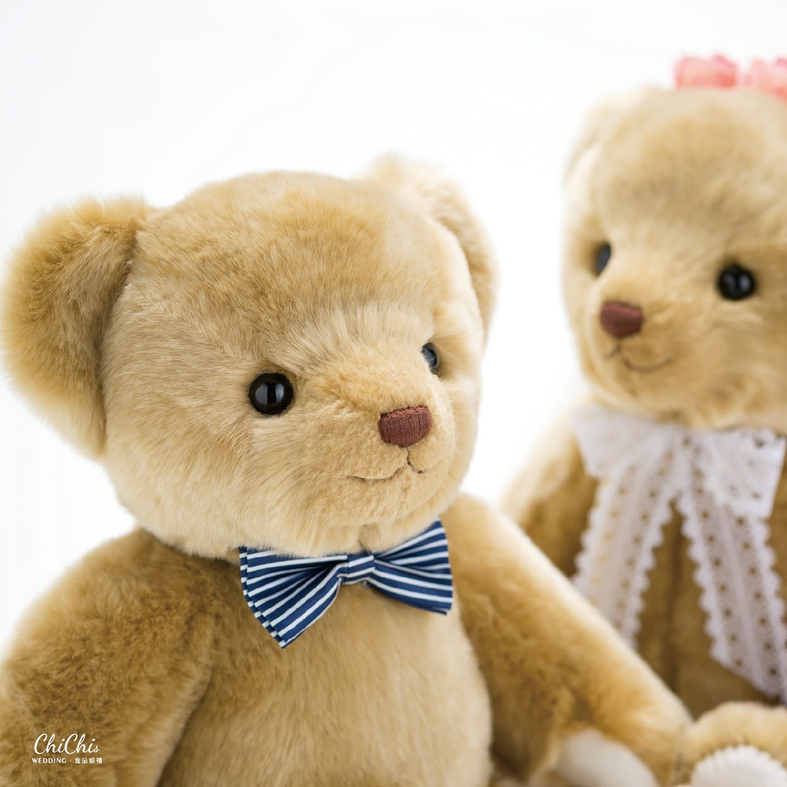 CAMELY MARIAGE日本感恩禮 謝親禮體重熊 商品圖5